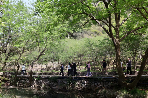 Happy Team Building in Zhong Yandang Mountain